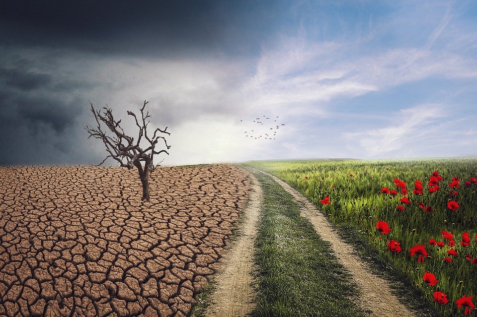 RESILIENCIA EMPRESARIAL BASADA EN VALORES: una oportunidad para salir reforzados y cohesionados de las situaciones complejas