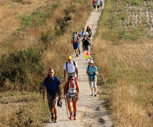 el-camino-santiago-peregrinos