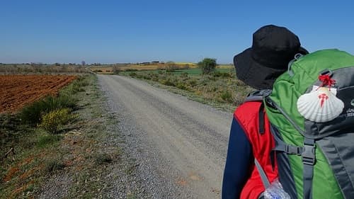 pergrino-camino-santiago