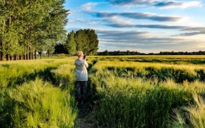 Evaluación sobre la perspectiva de género en el Programa de Desarrollo Rural en Navarra