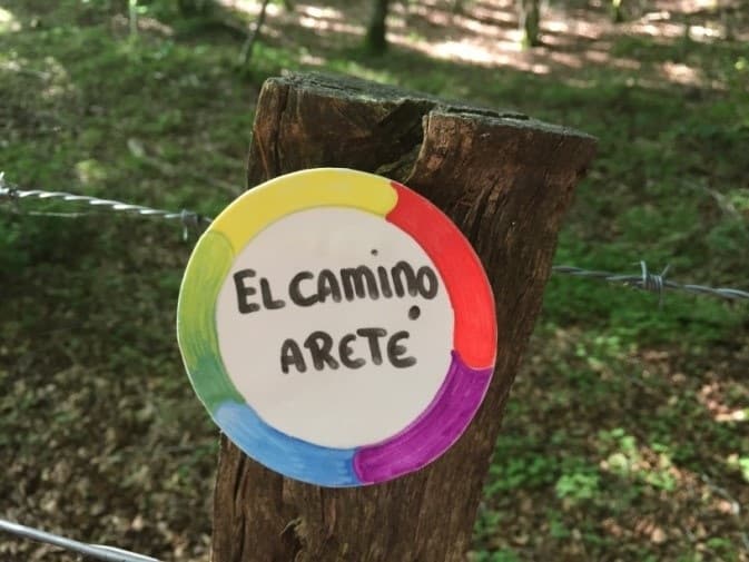 El Camino ARETÉ: Una propuesta de Desarrollo Profesional en el Camino de Santiago