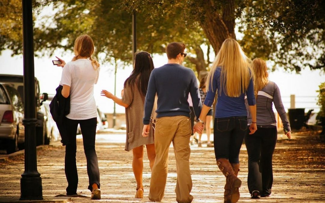 Jornadas de convivencia profesional al aire libre