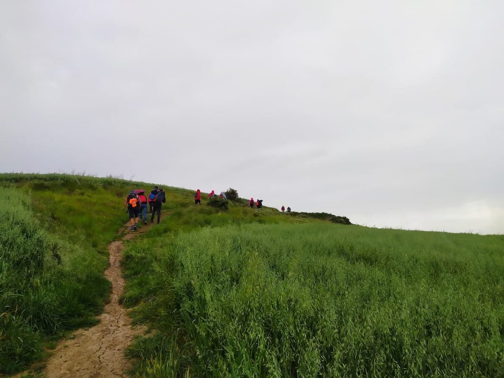 Trabajo equipo Empresa naturaleza ARETE ACTIVA